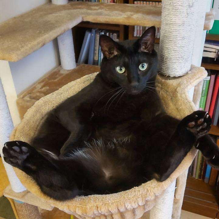 938312bf 621d 4612 a64e 5447e86dc867 1665463837177