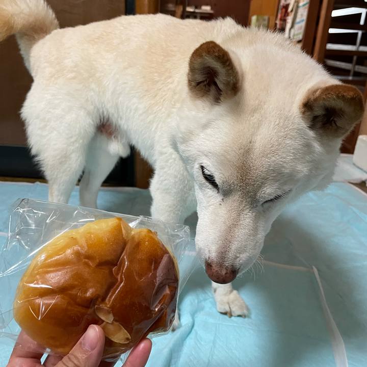 93833726 f3d7 4da2 92e2 f773a3480b30 1636172992041