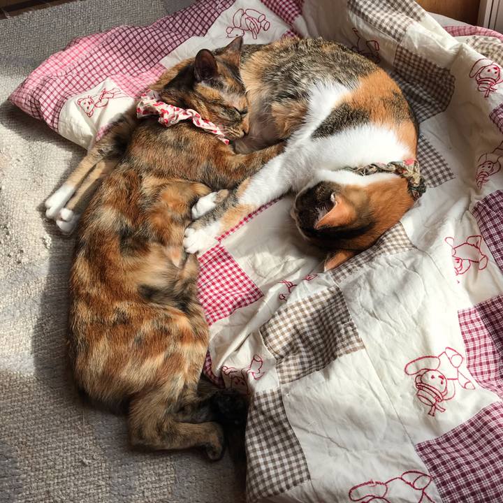 9383bc13 7bf4 4b6e a0ec e8e0cbc92c84 1614476250278