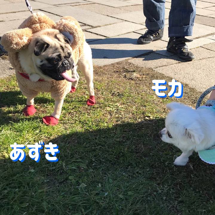 9383bc9a d62a 45f7 b33b 512cad5e78d8 1546078625537