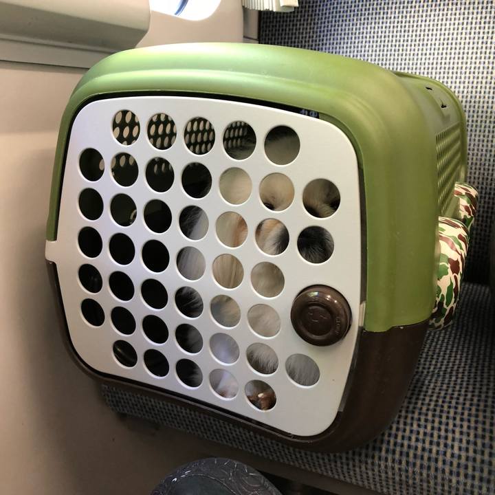 9383bf02 ffd5 4de6 8a1e 38d44239c43b 1532391662580