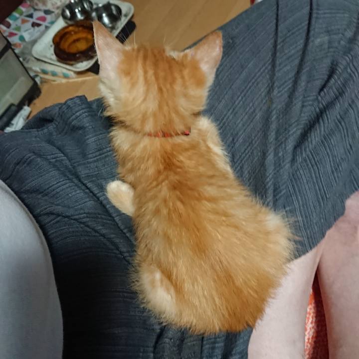 9383c1a4 b16d 4767 be35 291cee28a324 1628245260211