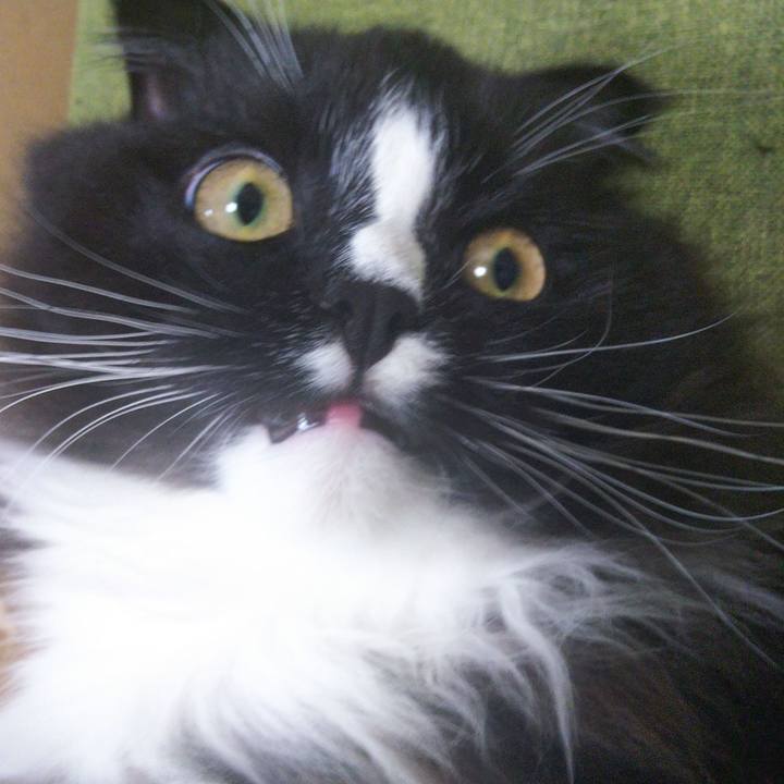 9383c33d f909 4b6b 93ae f882d4174cf6 1655167492019