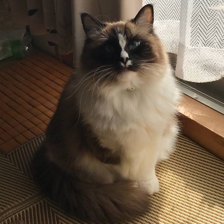 9383d19e aa46 4c7d 8f94 69b7aaa17350 1517747420121