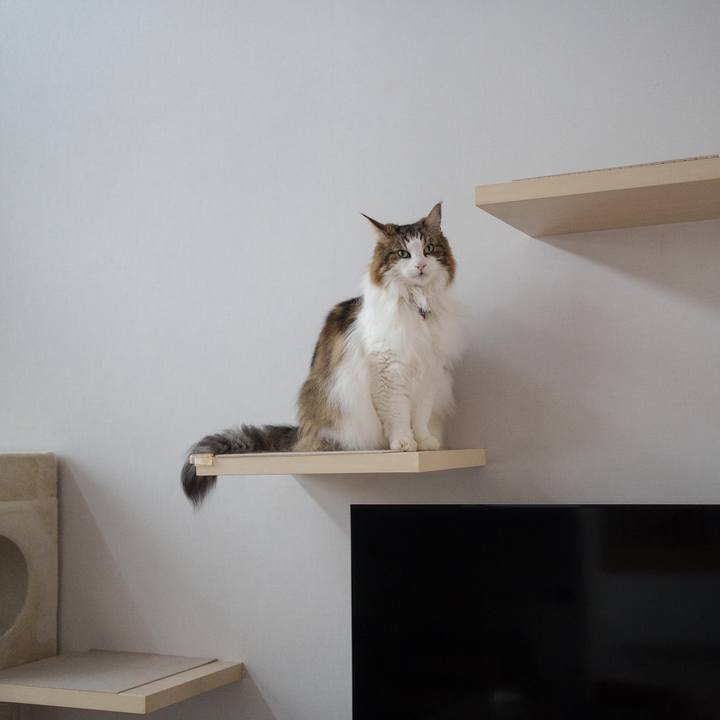 9383d79f 8866 439d a4db 5e1720c1210b 1725155422246