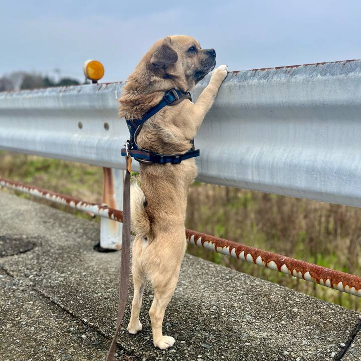 9383dfd6 161b 4d3f af53 8ed9f24e338d 1773917013067