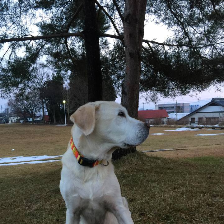 9383e28e 4d05 492b b1ff e73d13389be8 1514073063416