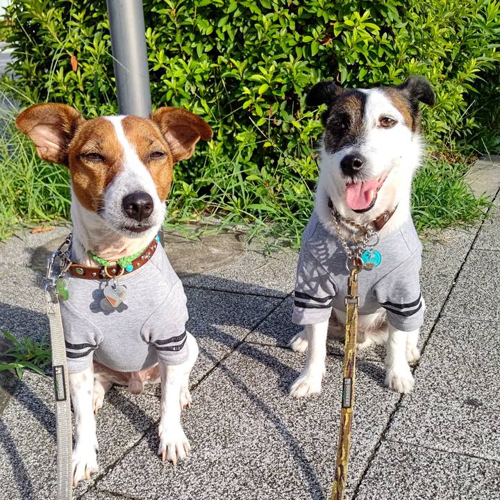 9384069c 7614 4546 b534 07467cf74593 1658270010249