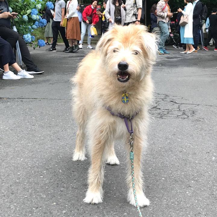 9384212f 5a6f 4bd2 9352 0c84409ab1e3 1560050509958