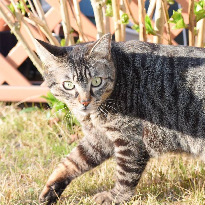 93842af4 500c 43fa b066 526f4ea5ebd8 1520759631214