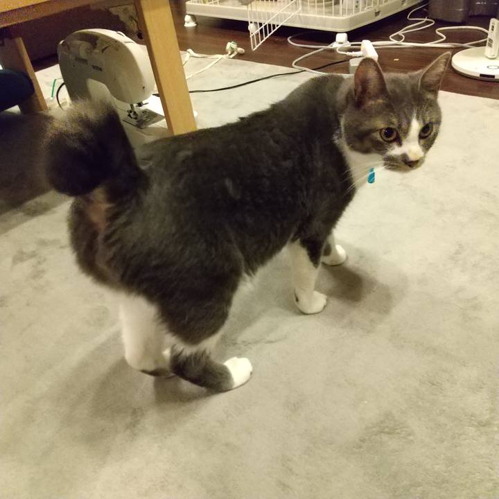 93842f2f 2a91 4e60 a11d fd23bad0ff98 1602339391616