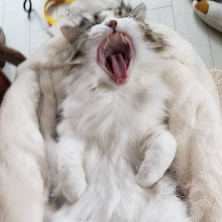 9384494d c4ed 49b6 bf86 12e5936cd0eb 1587352970582