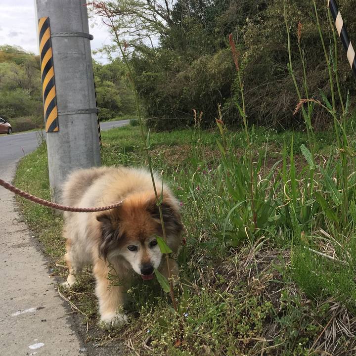 938453ba 87c0 4e44 8fb0 fb1e3486a913 1597704198164