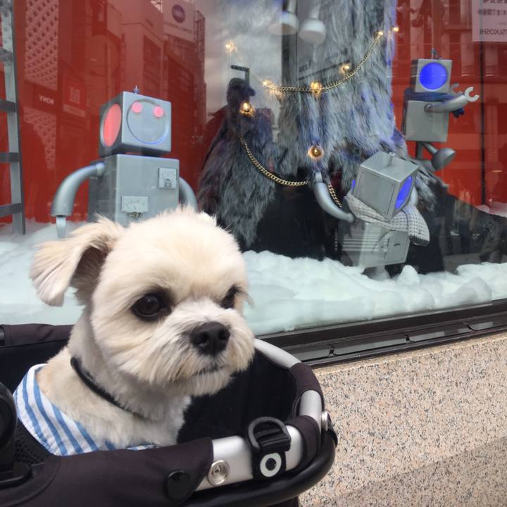 938474b1 ebae 43d8 8f20 d2ff9dcabfb7 1510396515233