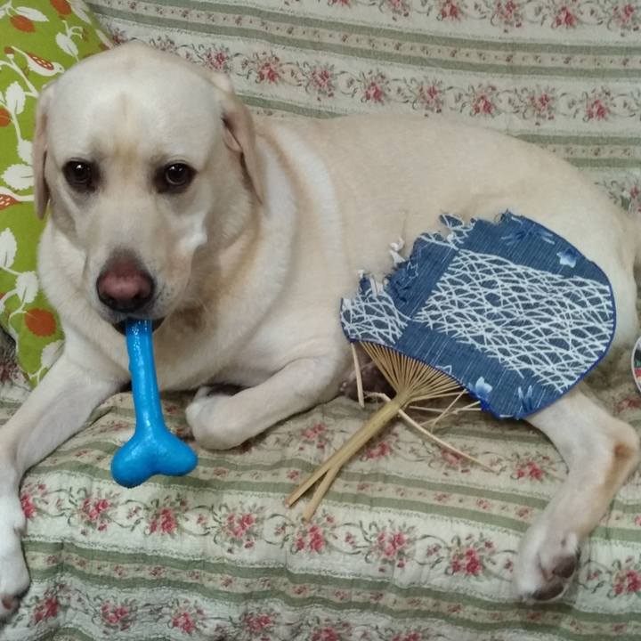 9384ae88 dba7 4020 b82d 2fa02be8e86f 1536839601064