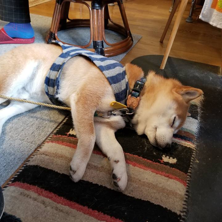 9384b231 4271 458b 8f83 c4354d637d14 1581982873145