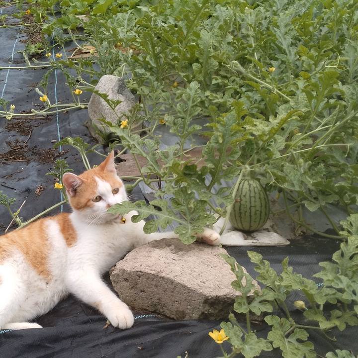 9384b97b 0975 45b5 a61b 7c6add88ee24 1751753122876