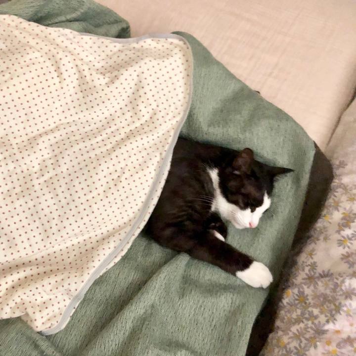 93850bc6 9327 4b9e 8787 5fa66a3abeea 1529669203845