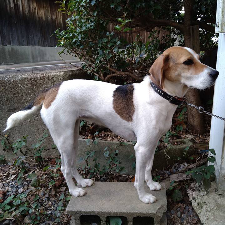 93851745 bca4 43c8 ac8d 229c045d44fe 1632384584318