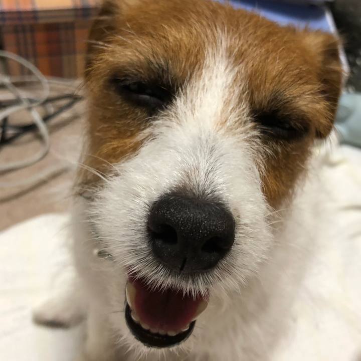 938562fb 11c9 4c3d a1f7 e9ee6b223778 1528034543491