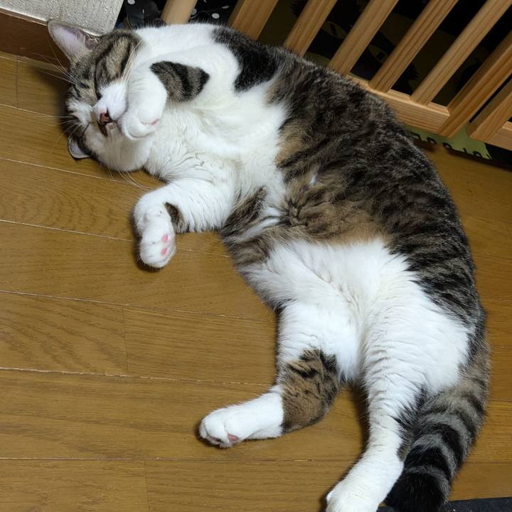 9385a105 2f4b 406a b318 065cdb86507e 1726697471158