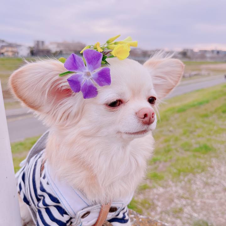 9385ac93 7569 4839 a3d5 45972e4ac7c4 1677664054425