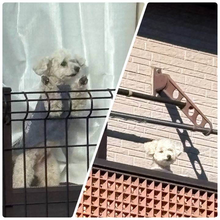 9385b06f a8a0 4380 a4c7 9c0e7bc6dc48 1767754191066