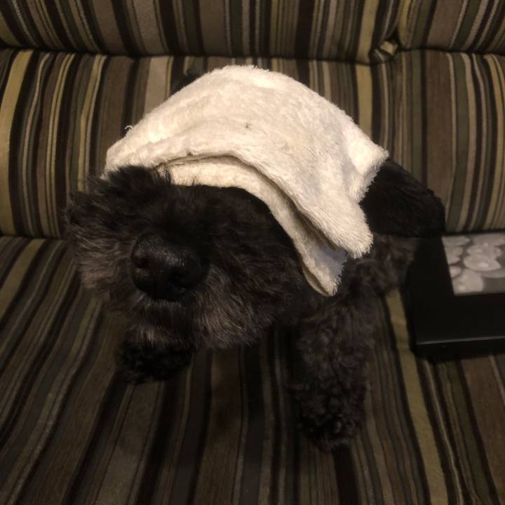 9385bce6 ba21 499a a0d7 9bdad0ec9d22 1563802940218