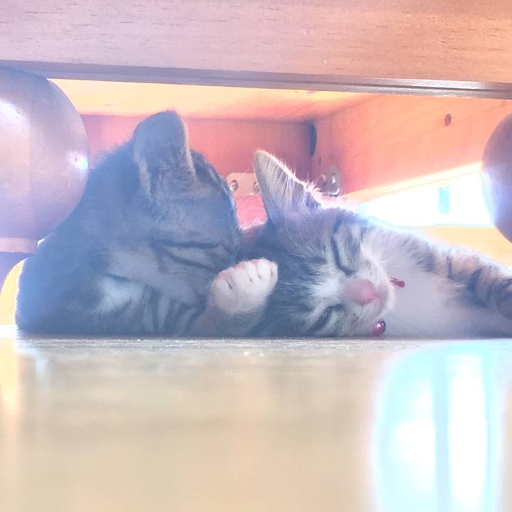 9385c0eb 67ac 40bf 847a 20cb7dfc6105 1652257624778