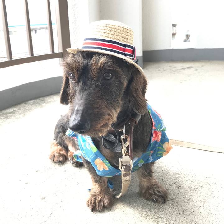 9385ed8f 68d6 4558 81b5 f53587d32bb7 1561191671928