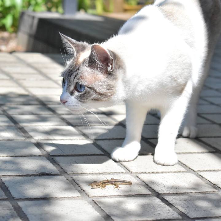 93860909 36b9 4401 b0d4 e396d60587f3 1526778540410