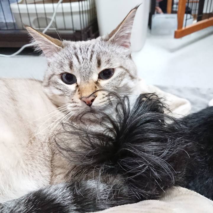 938630df b3e1 4e5d 8d3c ce7c2b771076 1610448024512