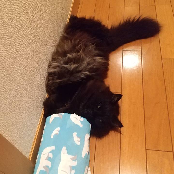 93864d7f d249 4aed 9604 2a8dcd7ec1ef 1687610017764