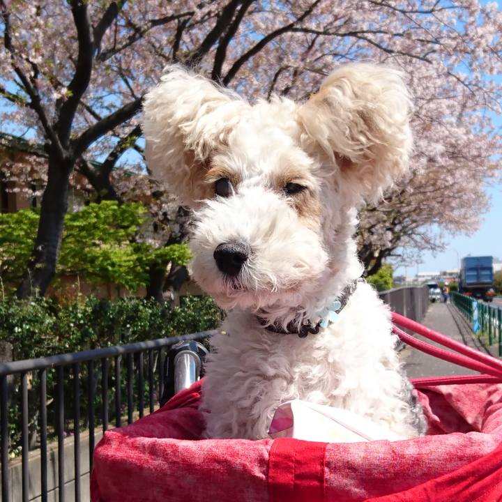 93865f19 8938 4c07 92a5 a5e8374820c8 1615258579280