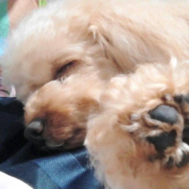 93866066 aab1 4e2f a070 1cb6203670d4 1532785123635