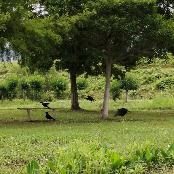 93867894 65c6 4ff9 8188 3aa2e004904d 1592179775181