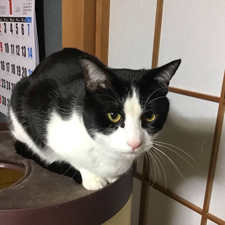 93867b37 b7eb 4db8 9025 558af47c6c27 1674390240635