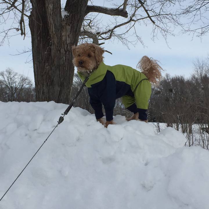 93867de7 3877 4e21 a2e6 910ed5d7d6ac 1518916270527