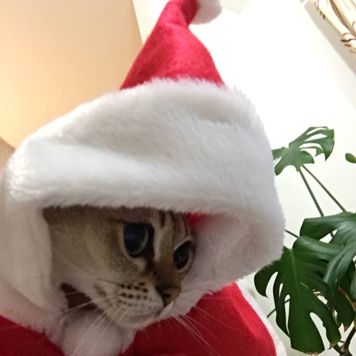 93868c43 2fac 449d 8d4d 96b19fb0ec7e 1511696557415