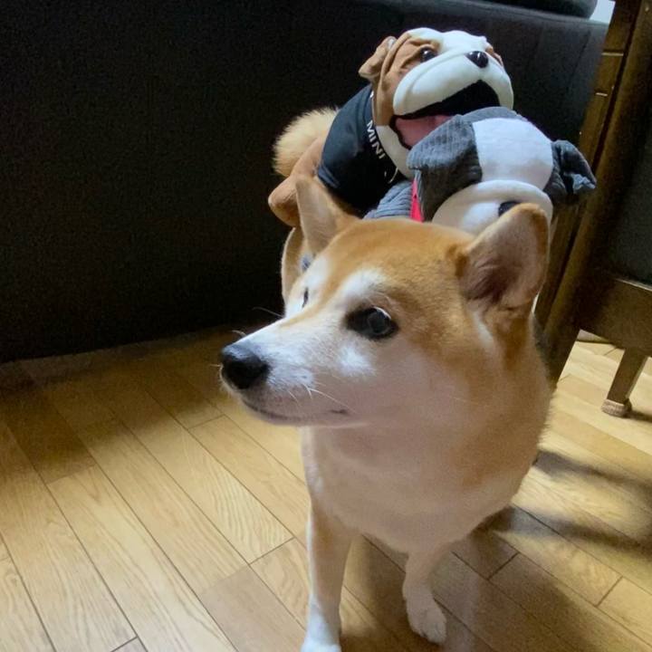 9386905e adb5 457e b1b0 5fad2511fff5 1607610097854