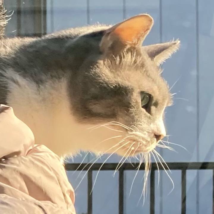 9386cb57 f584 4846 926d 8e612cb7d796 1700014168180