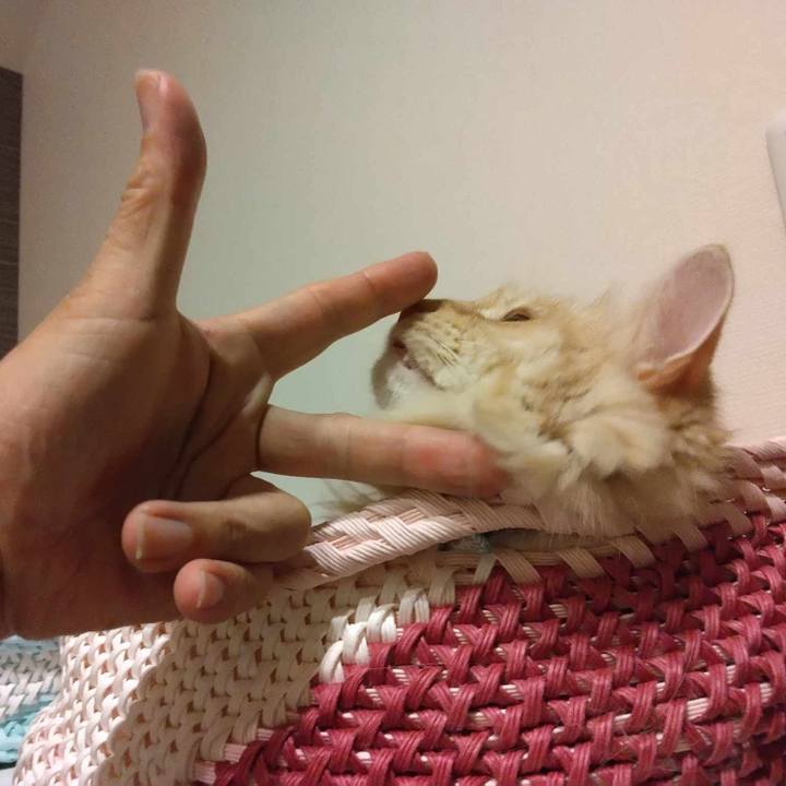 9386f669 c463 4d84 8dc9 810083be5e9f 1690121179499