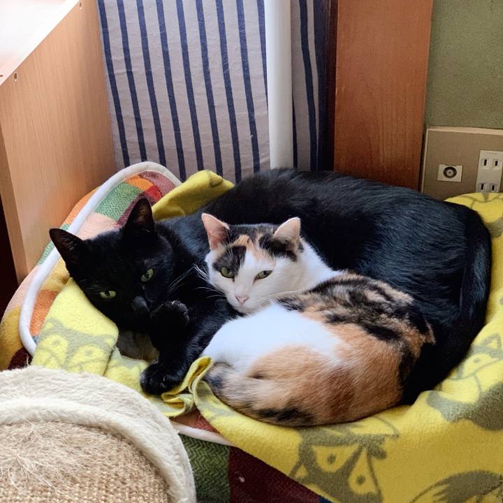 9386fbbf dc7e 4044 8c63 65a2bf8113aa 1544581309437