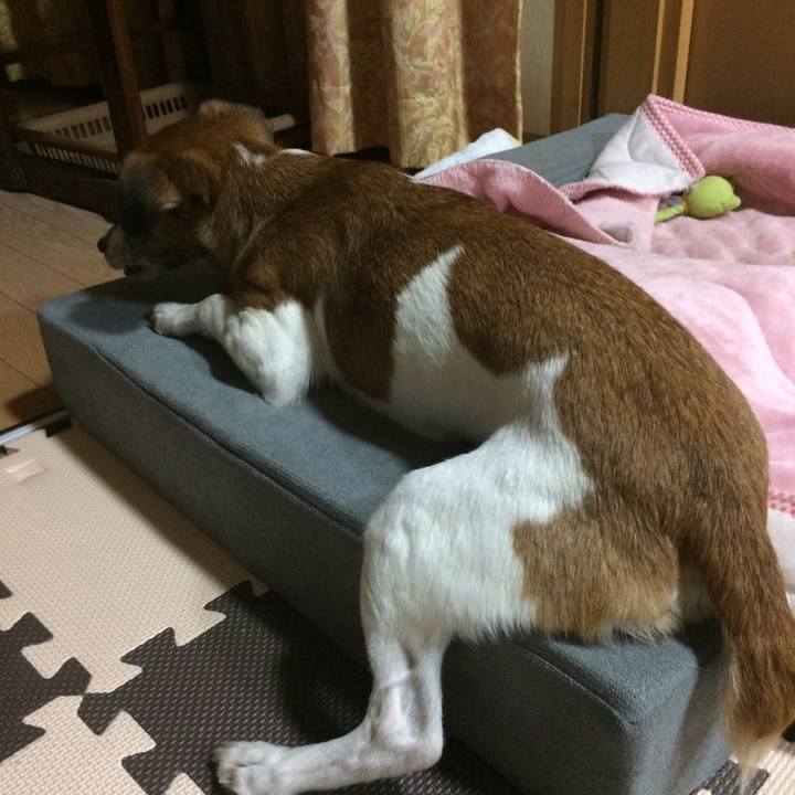 93870060 0d02 49d0 8f4b 7044ed1c5591 1509276882912