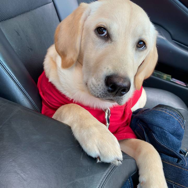 93871b0a 1e62 4bc6 ae40 fc7bbdb40c1d 1618406804045