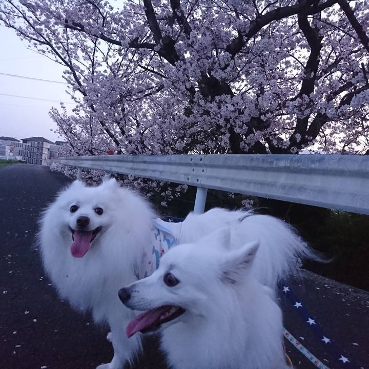 93872f97 153b 4ba6 82a3 065a2bffa933 1617183803761