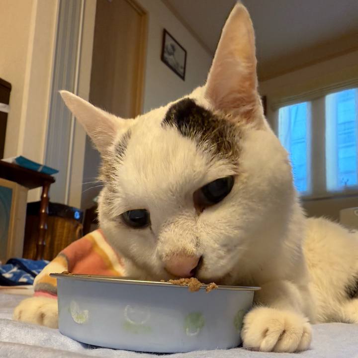 93875be6 29b2 46ad 95a8 542de89cc429 1764545893473