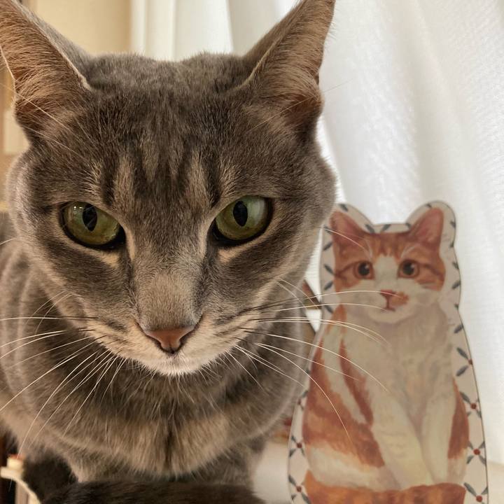 9387641d 7083 4a74 a19f 9a232a4b0df7 1644970858777