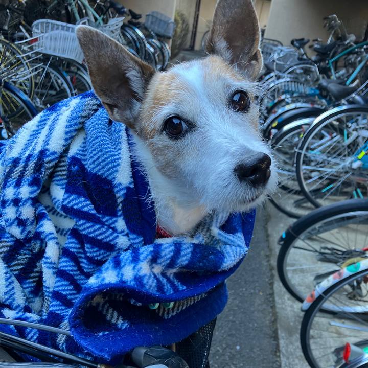 9387abe7 f02c 498e 9ac4 ea5bfd296ed2 1737933823904