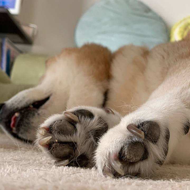 9387c6aa ff86 407d b6f3 eb9569cbd2d8 1596948300563